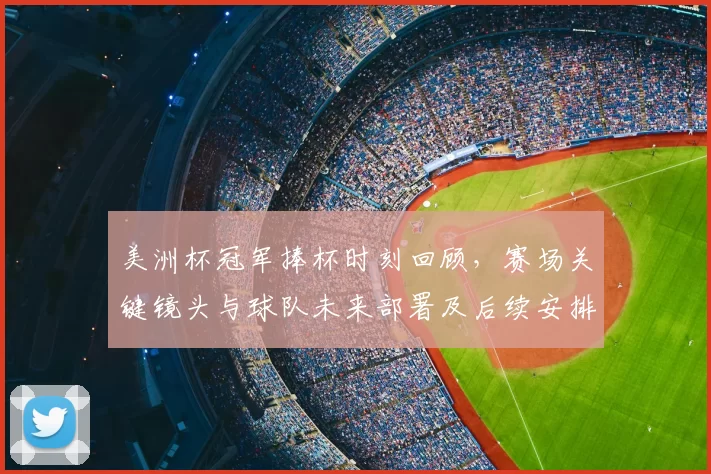美洲杯冠军捧杯时刻回顾,赛场关键镜头与球队未来部署及后续安排看点