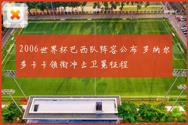 2006世界杯巴西队阵容公布 罗纳尔多卡卡领衔冲击卫冕征程