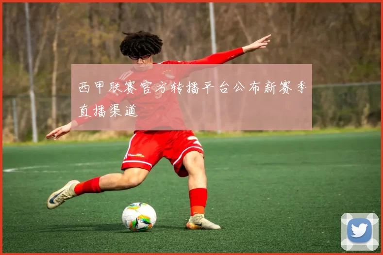 西甲联赛官方转播平台公布新赛季直播渠道