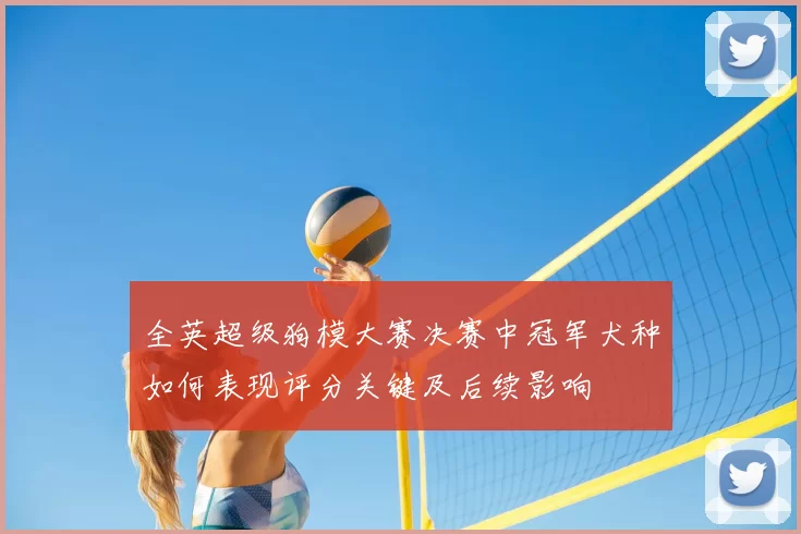 全英超级狗模大赛决赛中冠军犬种如何表现评分关键及后续影响
