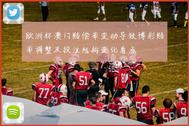 欧洲杯澳门赔偿率变动导致博彩赔率调整及投注结构变化看点