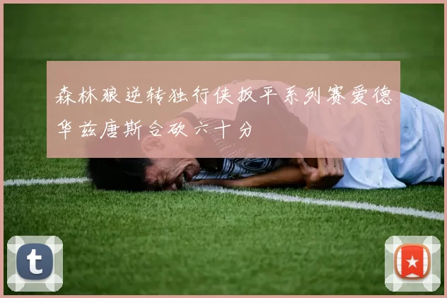 森林狼逆转独行侠扳平系列赛爱德华兹唐斯合砍六十分