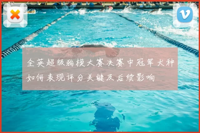 全英超级狗模大赛决赛中冠军犬种如何表现评分关键及后续影响