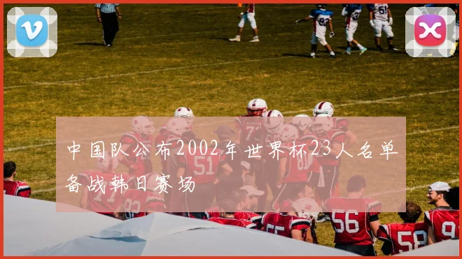 中国队公布2002年世界杯23人名单备战韩日赛场