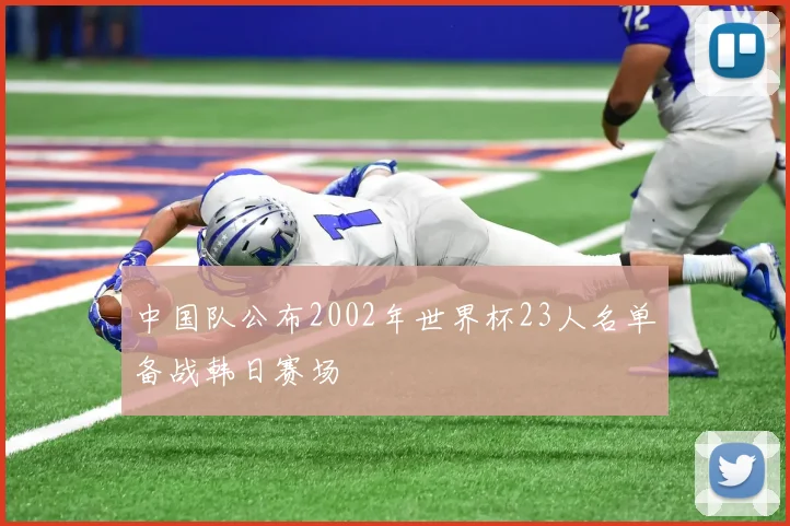 中国队公布2002年世界杯23人名单备战韩日赛场