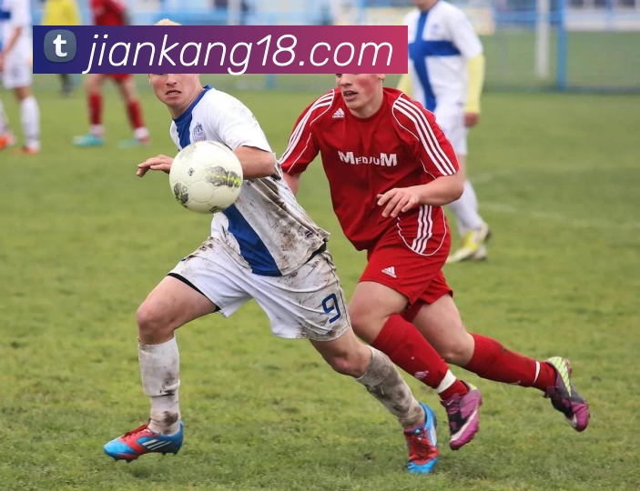 开云app官方在线入口 - 开云kaiyun(中国)平台生态图